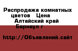Распродажа комнатных цветов › Цена ­ 50 - Алтайский край, Барнаул г.  »    